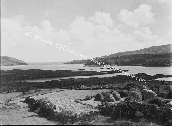 DISTANT VIEW OF DUNBOY CASTLE